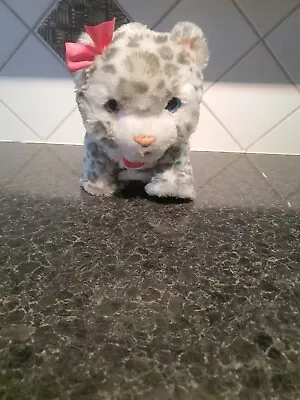 Buy 'FurReal Friends - Playful Grey/white Cat - Walks And Meows - GWO - NO BOX - SEE • 7£