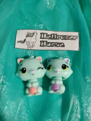 Buy Genuine Hatchimals Colleggtibles, Season 3 Blue Rare Hatch Kittycan Twins • 6.60£