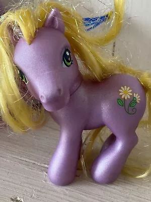 Buy My Little Pony MLP G3 - Daisy Jo • 9£