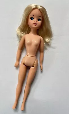 Buy Barbie Sindy Pedigree • 30.73£