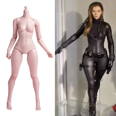 Buy Worldbox 1/6 Scale Female Body Sexy Big Hip Action Figure 12  For Hot Toys Head • 54.79£