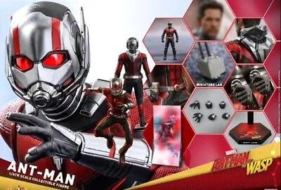 Buy Antman  1/6 Hot Toys Action Figure MMS497 • 260£