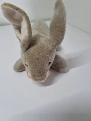 Buy Ty Beanie Babies Nibbly The Rabbit  • 1£