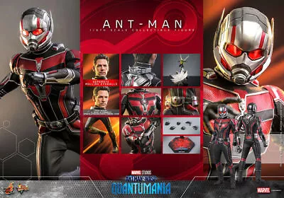 Buy Hot Toys Mms690 Movie Masterpiece Ant-Man Wasp Quantomania 1/6 Scale Figure • 570.33£