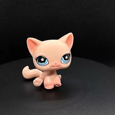Buy Littlest Pet Shop #959 Pink Shorthair Cat | Short Hair  Hasbro • 7.95£