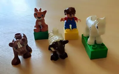 Buy Duplo 5646 Farm Nursery! 100% Complete Retired Set! Pony, Cat, Sheep And Goat! • 5.95£