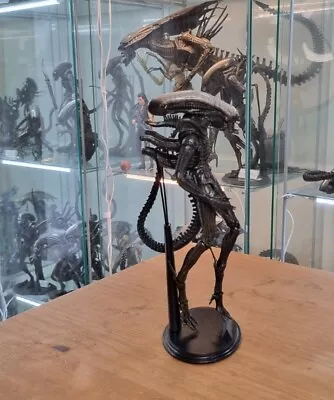 Buy Genuine Alien Isolation Xenomorph Drone  Stompy  With Stand  • 64.99£