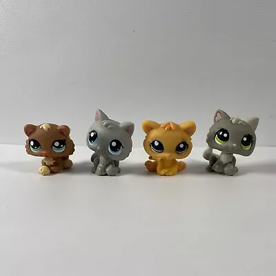 Buy Littlest Pet Shop #66 #1035 #1053 #2328 Toys | Cats Kittens  | Official Hasbro • 38.99£