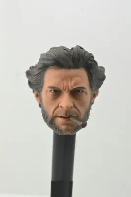 Buy ELEVEN 1/6 Wolverine Head Sculpt LOGAN For Hot Toys Phicen Muscular IN STOCK • 14.99£