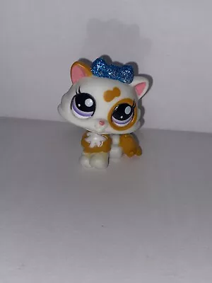 Buy LPS Littlest Pet Shop Kitten Cat 2327 Glitter Hasbro Authentic Rare • 50£