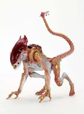 Buy NECA Kenner Tribute Ultimate Panther Alien 7″ Inch Action Figure • 40.95£