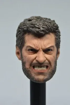Buy ELEVEN 1/6 Wolverine Head Sculpt ANGRY LOGAN For 12  Hot Toys Male Figure • 21.59£