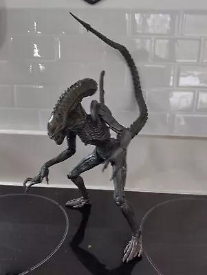 Buy Alien Vs Predator Requiem, Alien Warrior Action Figure NECA • 20£
