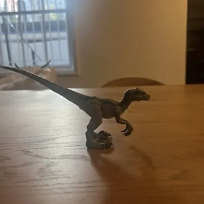Buy Mattel Jurassic World Velociraptor Figure • 5£