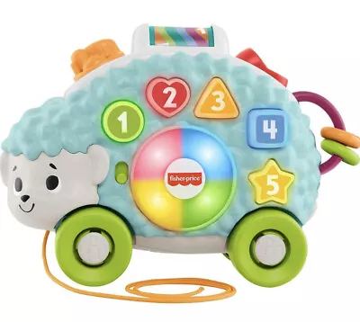 Buy New Fisher-Price Linkimals Happy Shapes Hedgehog Toy 9 Months + • 18.99£