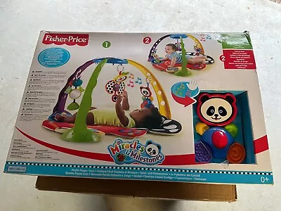 Buy Fisher-price Miracles &Milestones Playful Puppy Gym • 25£